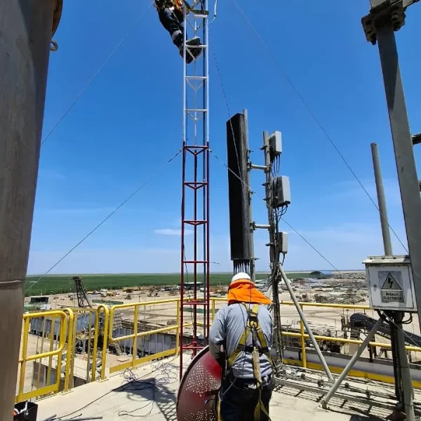 9930a836-036f-4e8a-b5c7-08330241ab4d