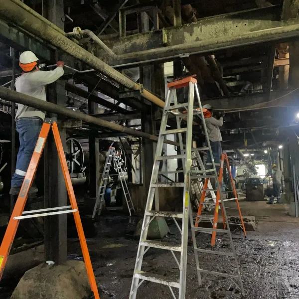 WhatsApp Image 2025-04-24 at 4.14.04 PM