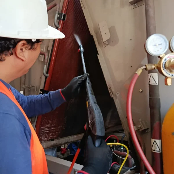 WhatsApp Image 2025-04-28 at 3.16.19 PM