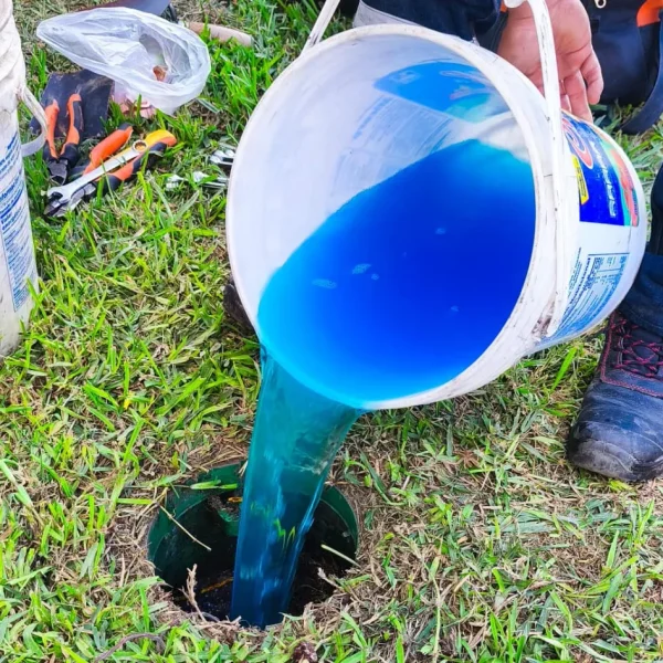 WhatsApp Image 2025-06-27 at 2.09.32 PM (1)