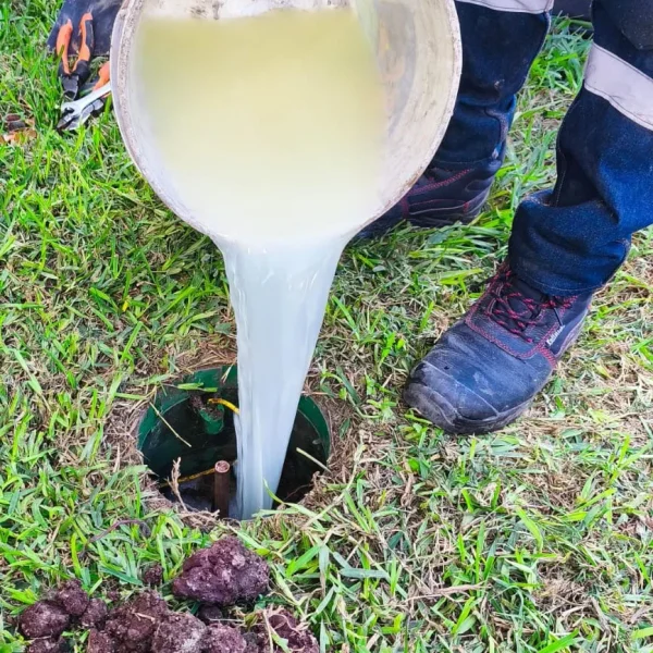 WhatsApp Image 2025-06-27 at 2.09.32 PM (2)